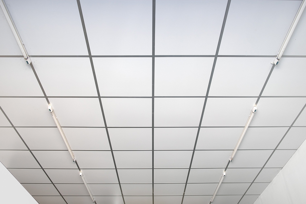 Servives tab img | ceil tex