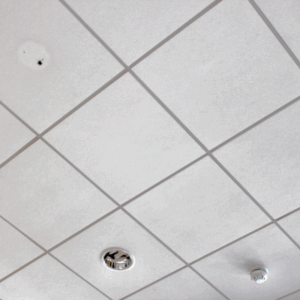 Untitled 800 x 800 px 4 | ceil tex Acoustic Ceiling Tiles
