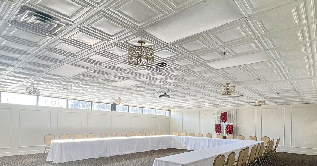 Contemporary ceiling | ceil tex Contemporary Ceiling