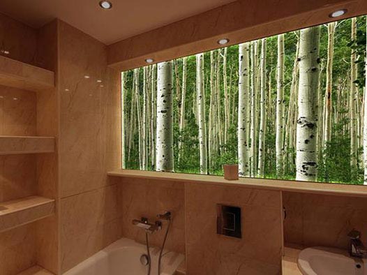 Spa birch forest mural room darker 1 | ceil tex Spa Commercial Bathroom Wall Panels