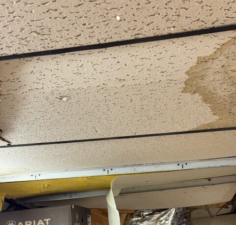Img 6517 | ceil tex Holes in Ceiling Tiles