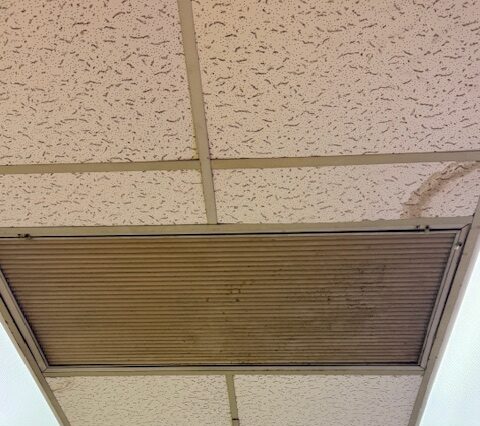 Img 7372 | ceil tex Mold in Ceiling Tiles