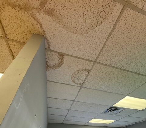 Img 7378 | ceil tex Water Damage on Ceiling Tile