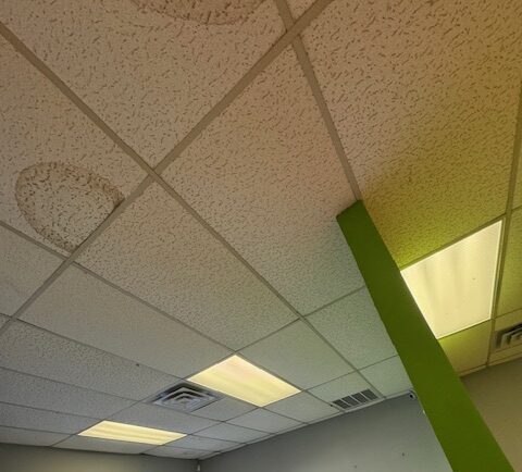 Img 7379 | ceil tex Mold Om Ceiling Tiles