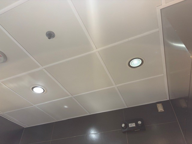 Jasons deli magnolia after grid capping 4 | ceil tex