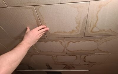 8 Signs It’s Time to Replace Your Commercial Ceiling Tiles