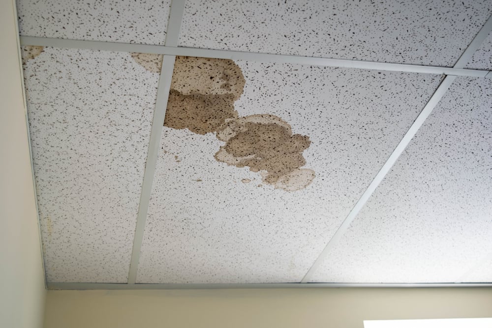 Water-stained and damaged ceiling tiles in a commercial building